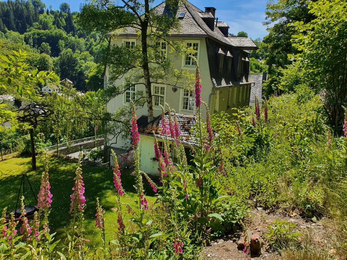 Appartement Haus Barkhausen à Montjoie Extérieur photo